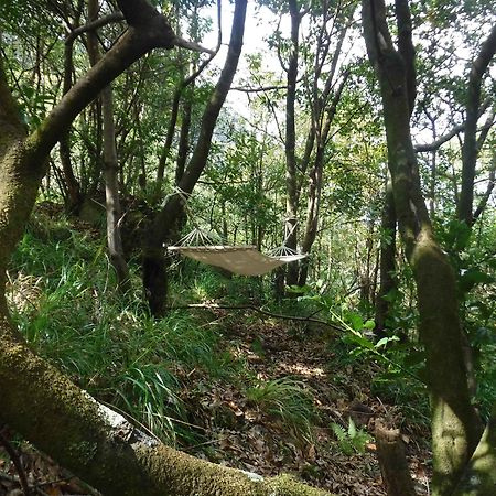 Nature Inn Madeira - Glamping Porto Moniz Exterior photo