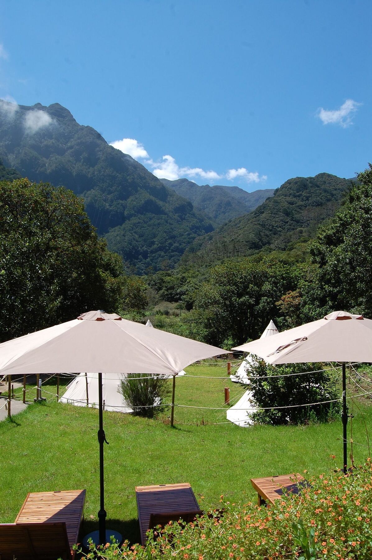 Nature Inn Madeira - Glamping Porto Moniz Exterior photo