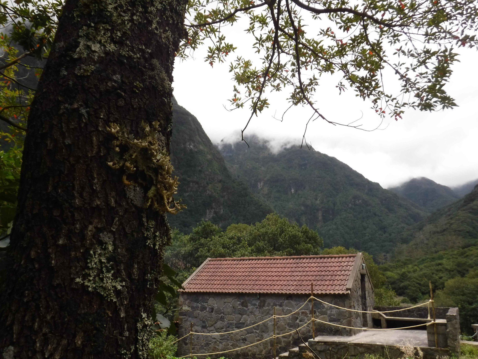 Nature Inn Madeira - Glamping Porto Moniz Exterior photo